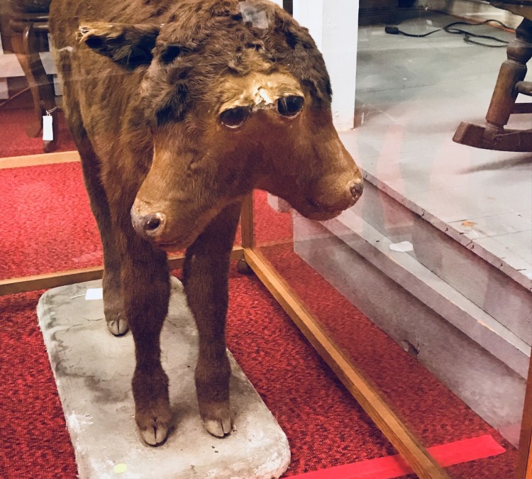 Becker County Museum, History, Science, Childrens (Detroit&nbspLakes,&nbspMN)
